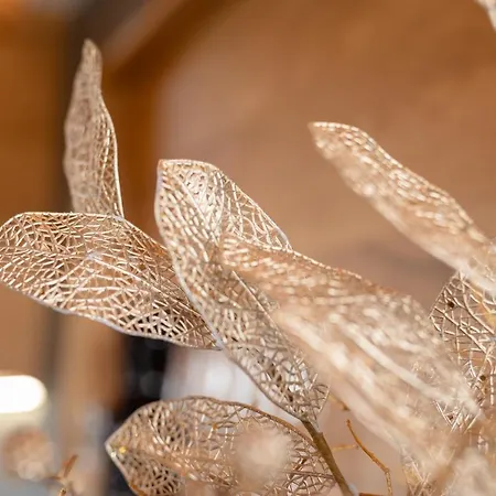 Meditrine * Milotice