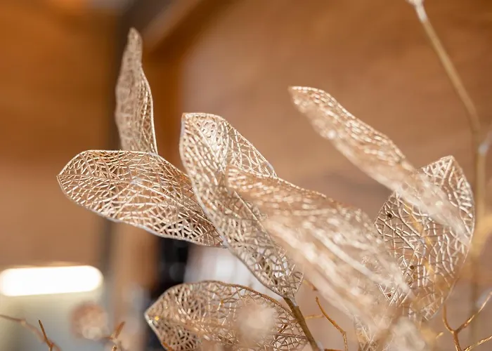 Meditrine * Milotice